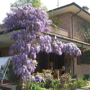 Les Fleurettes Lomazzo