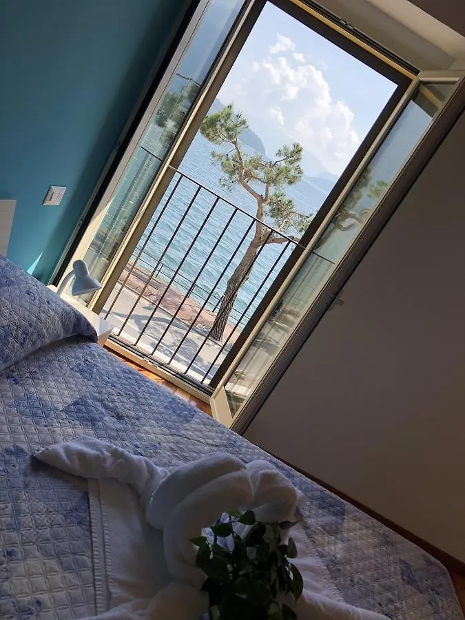 Hotel Mojito Домазо
